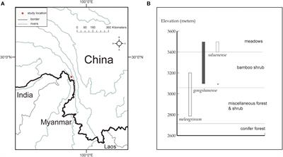 Hybrid Speciation and Introgression Both Underlie the Genetic Structures and Evolutionary Relationships of Three Morphologically Distinct Species of Lilium (Liliaceae) Forming a Hybrid Zone Along an Elevational Gradient
